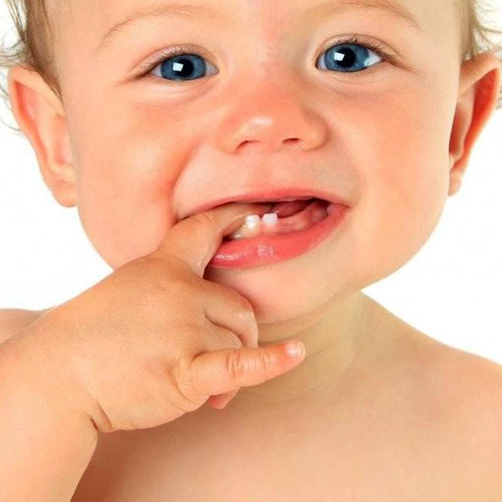 Los primeros dientes o dientes de leche